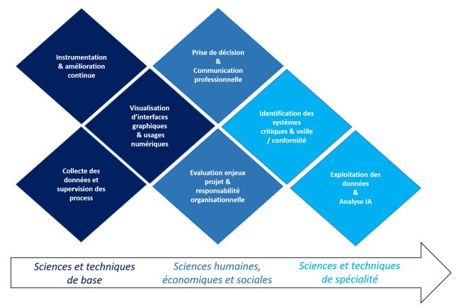  bachelor schema.JPG 